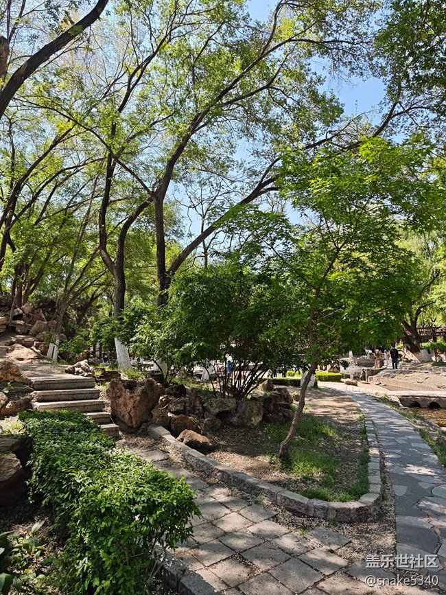 中山公園攝影，回顧