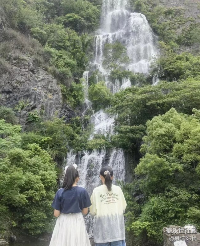 【荔枝飄香】開心每一天