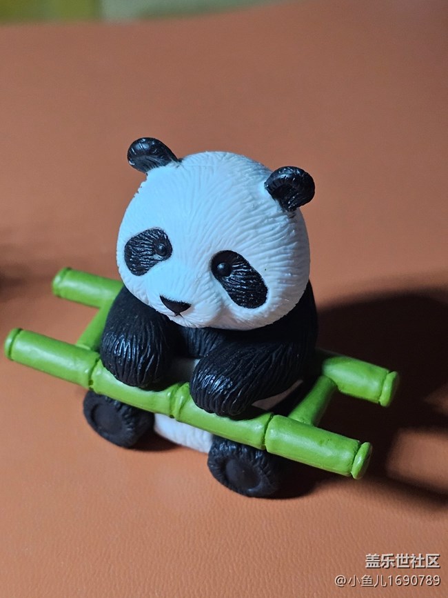 【 長(zhǎng)焦與微距】國(guó)寶