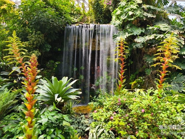 #五月滿園芳——辰山植物園觀花