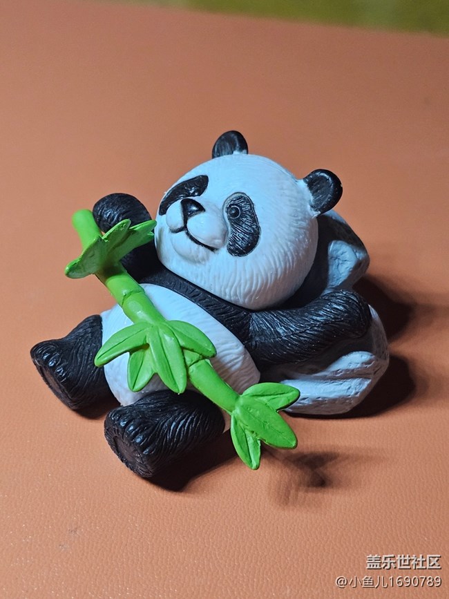 【 長(zhǎng)焦與微距】國(guó)寶