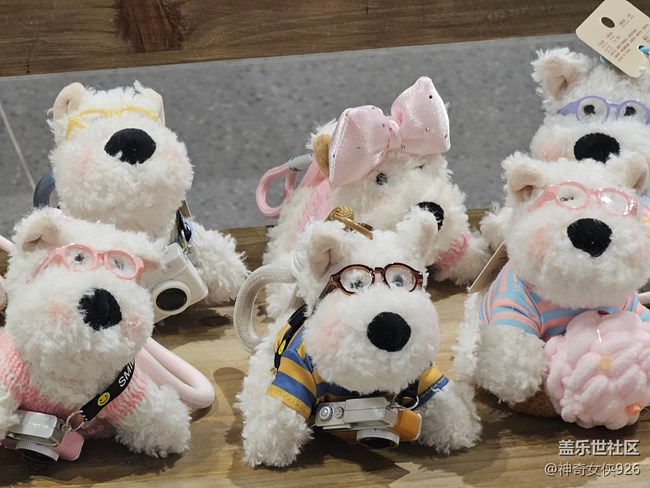 【 長焦與微距】毛絨玩具