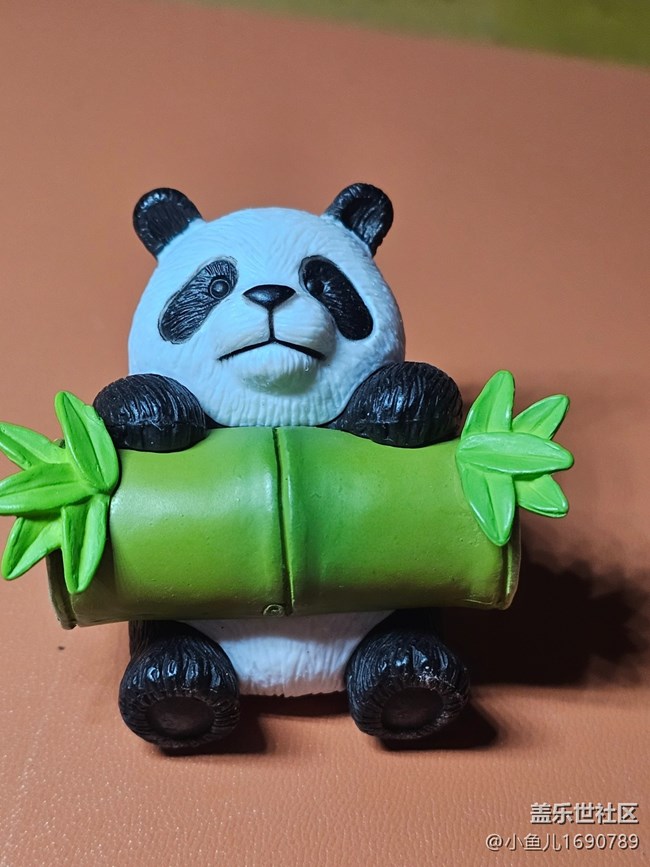 【 長(zhǎng)焦與微距】國(guó)寶