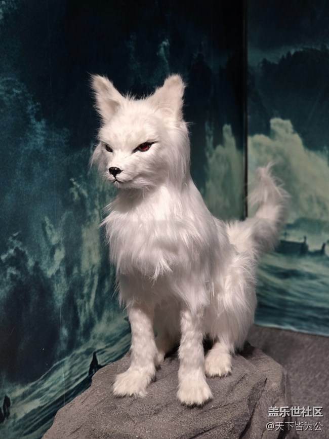 【重啟九尾狐線下攝影活動(dòng)】+攝影活動(dòng)回顧