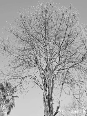 【漫旅拾光】光與影