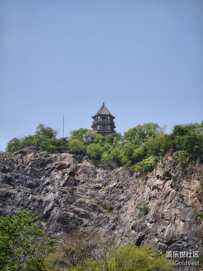 #五月滿園芳——辰山植物園觀花