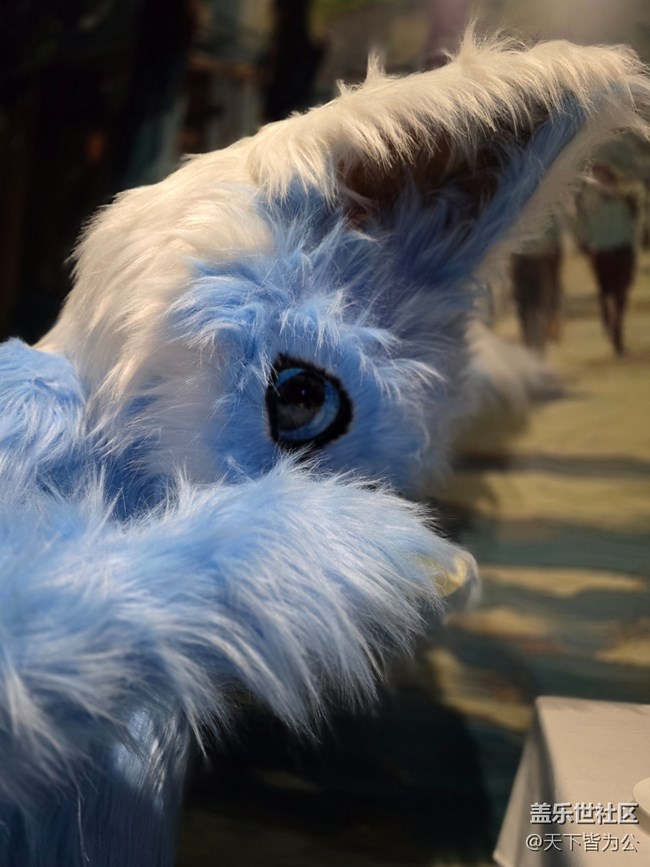 【重啟九尾狐線下攝影活動(dòng)】+攝影活動(dòng)回顧