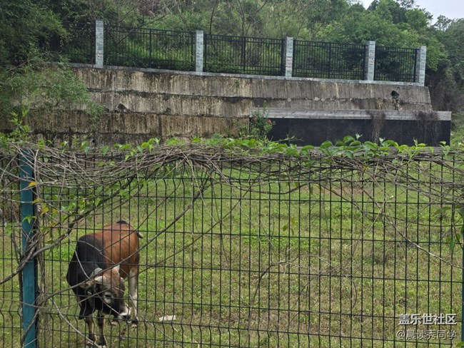 【活動(dòng)回顧】5月11日露營小記