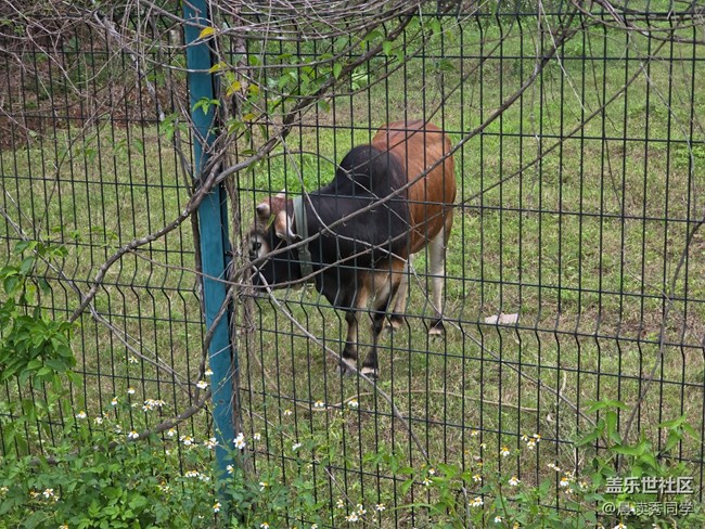 【活動(dòng)回顧】5月11日露營小記