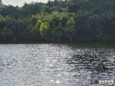 【漫旅拾光】逛公園