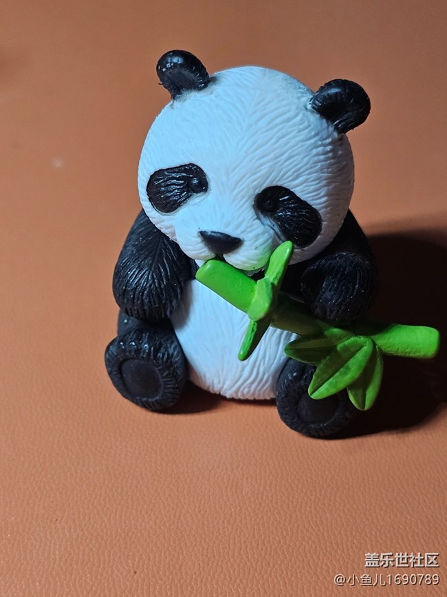 【 長(zhǎng)焦與微距】熊貓仔仔