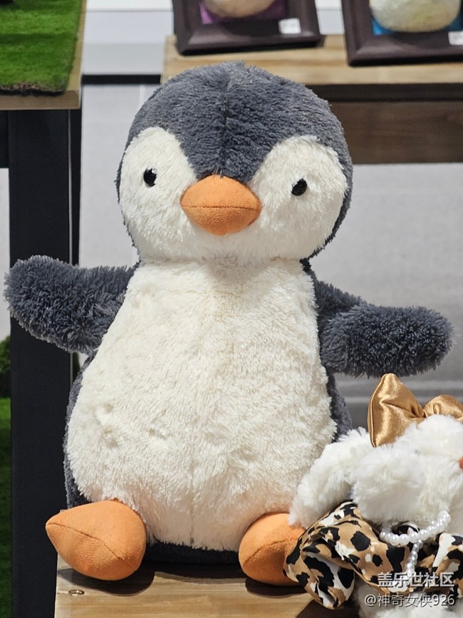 【 長焦與微距】毛絨玩具