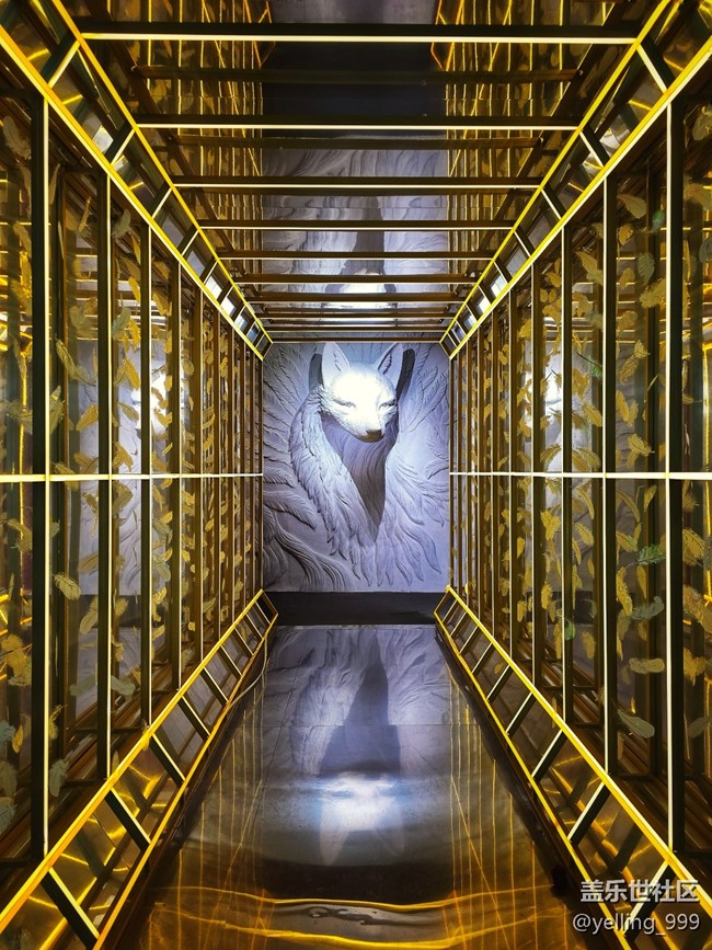 上海星部落5月10日重啟九尾狐線下攝影活動(dòng)回顧帖