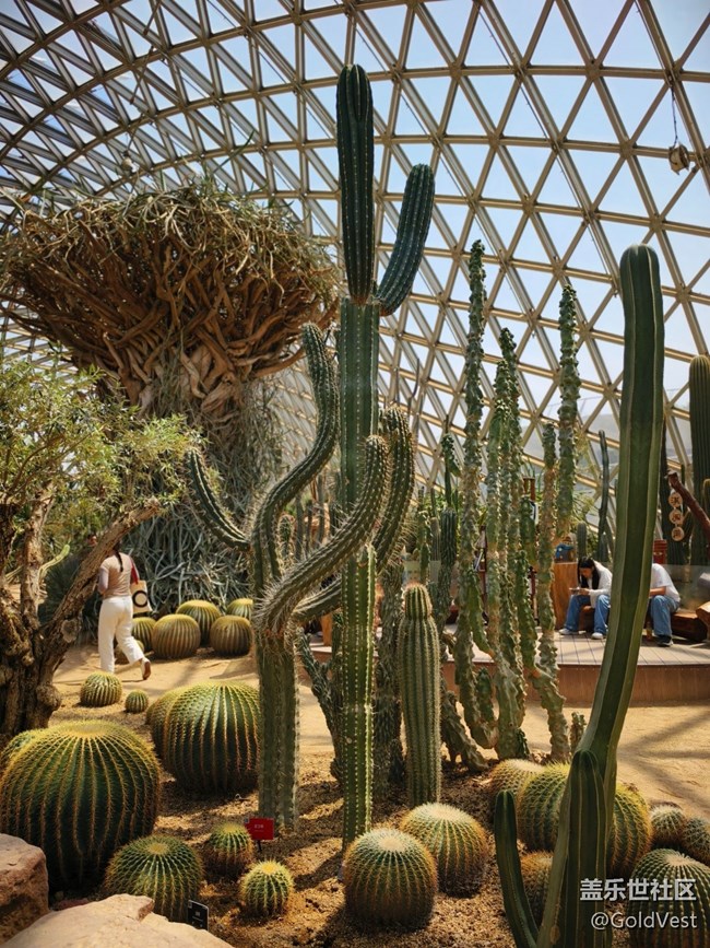 #五月滿園芳——辰山植物園觀花