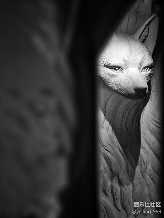 上海星部落5月10日重啟九尾狐線下攝影活動(dòng)回顧帖