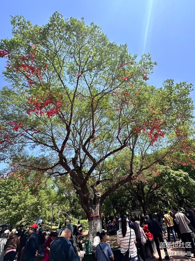 【回顧貼】中山公園游記