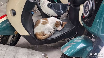 【漫旅拾光】剎那間