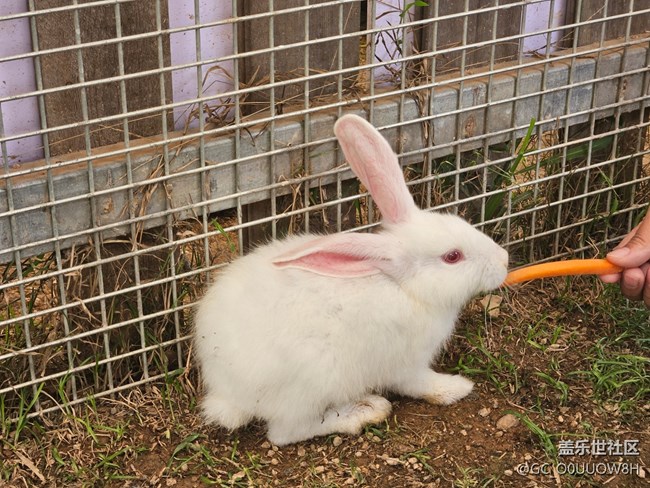 【活動回顧】風(fēng)汐谷露營