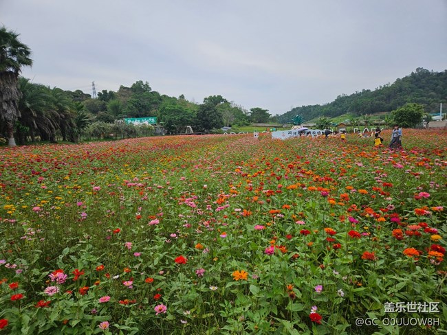 【活動回顧】風(fēng)汐谷露營
