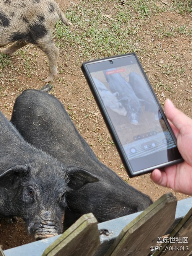 【活動(dòng)回顧】在風(fēng)汐谷露營(yíng)的一天