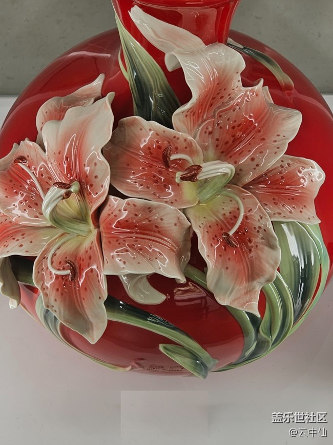 【 長焦與微距】綠葉配紅花