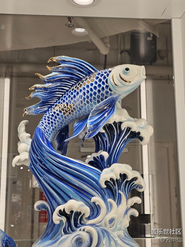 【 長(zhǎng)焦與微距】如魚(yú)得水