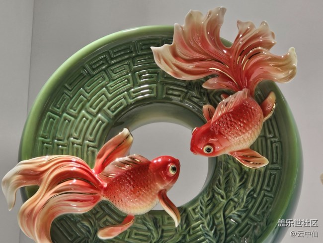 【 長(zhǎng)焦與微距】如魚(yú)得水