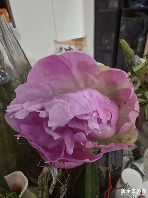 【遇見五月天】+隨拍