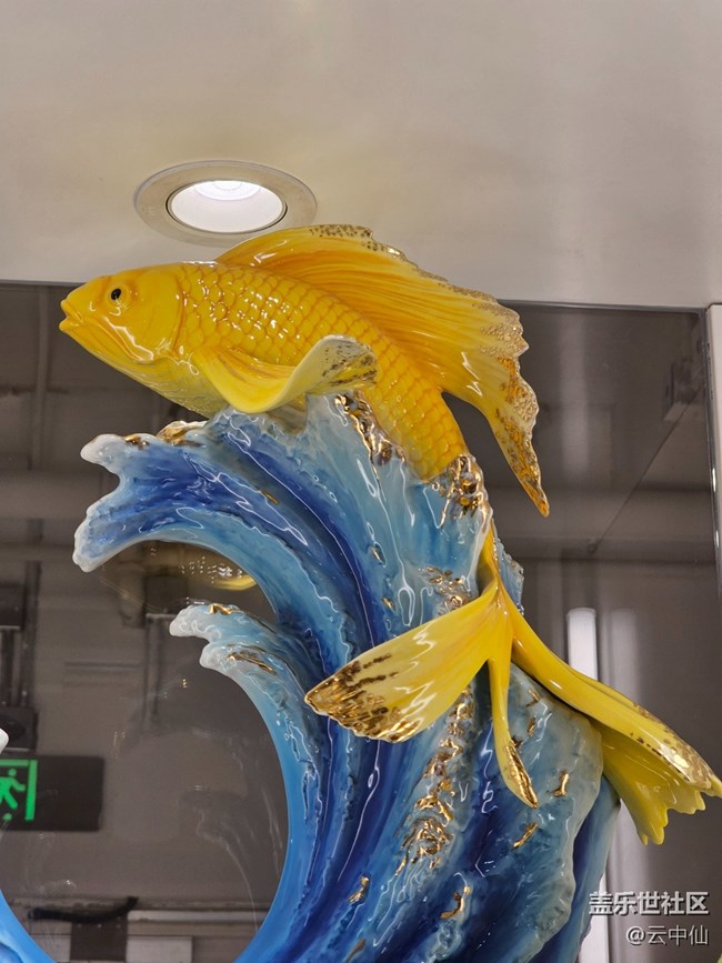 【 長(zhǎng)焦與微距】如魚(yú)得水