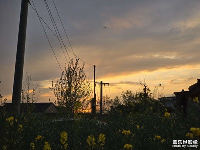田 園 風(fēng) 光