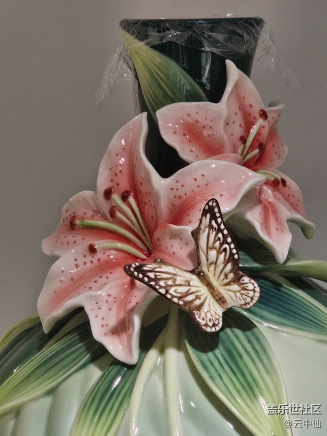 【 長焦與微距】蝶舞