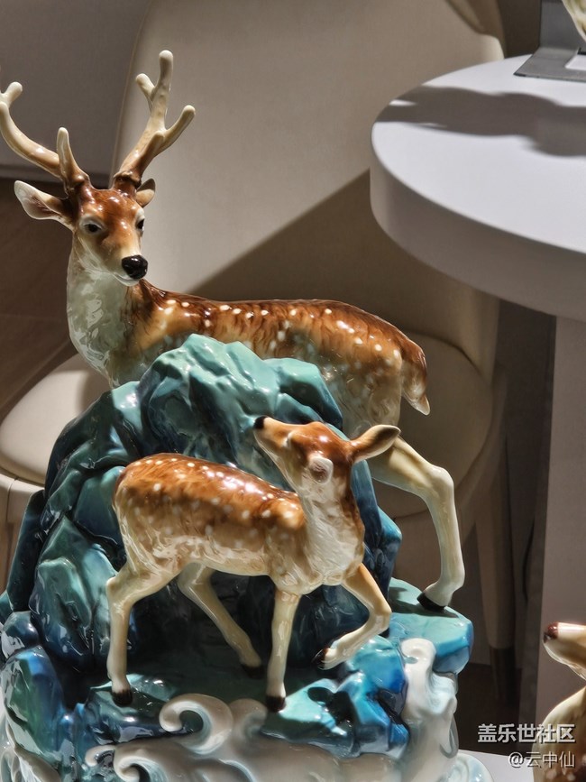 【 長焦與微距】