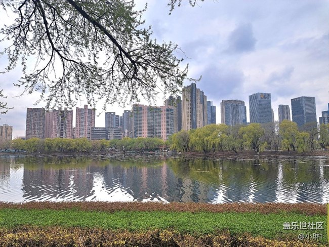 【發(fā)光的角落】公園