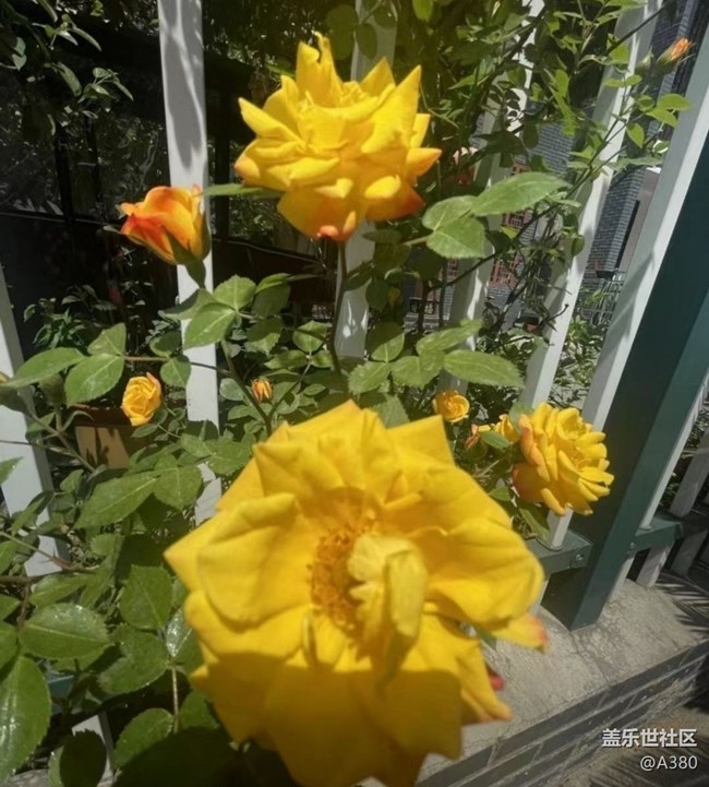 【夏日清涼】夏天了