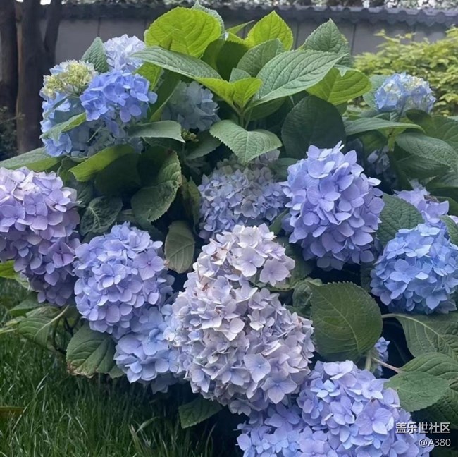 【夏日清涼】夏天了