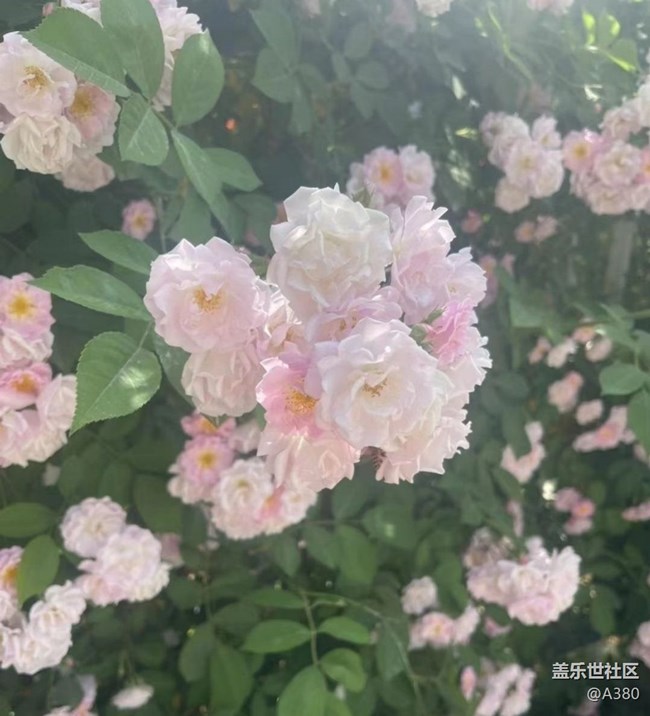 【夏日清涼】夏天了