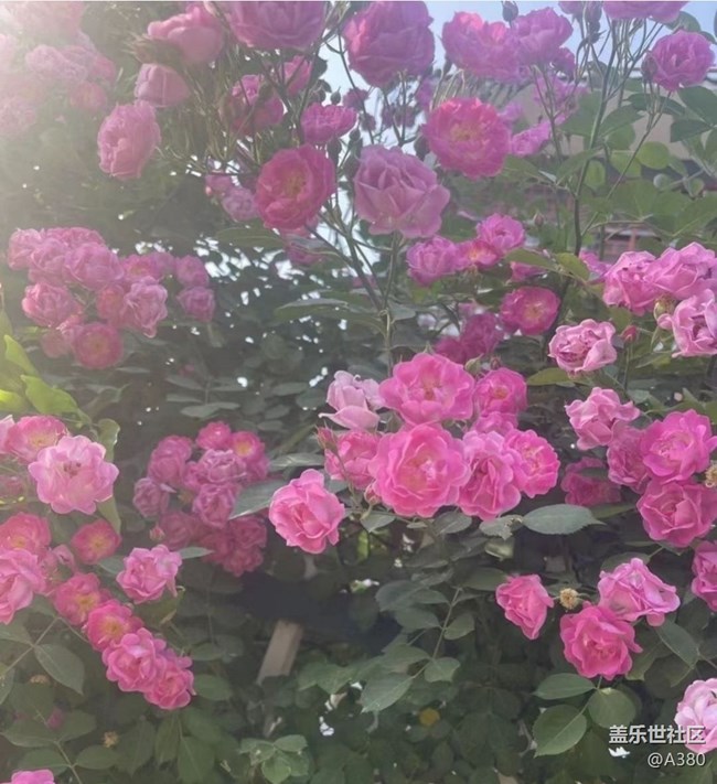 【夏日清涼】夏天了