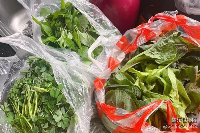 【荔枝飄香】家的溫暖