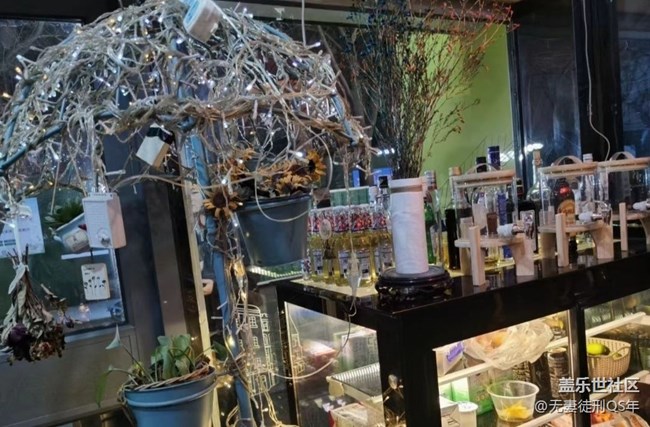 【荔枝飄香】喝茶