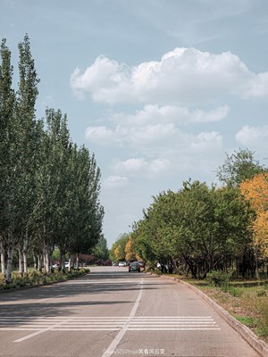 【遇見(jiàn)五月天】Galaxy S25Ultra 郊野微風(fēng)