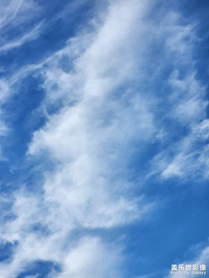 【遇見五月天】城市與自然?