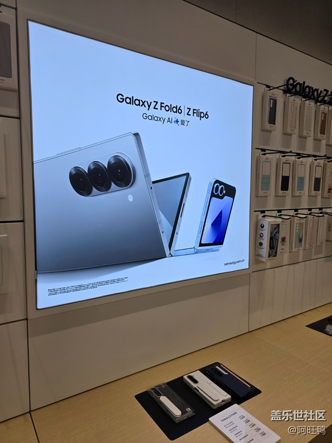 【廈門星部落】5月11Z系列折疊線下品鑒會