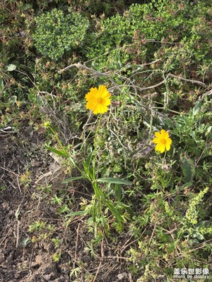 【遇見五月天】+隨手拍