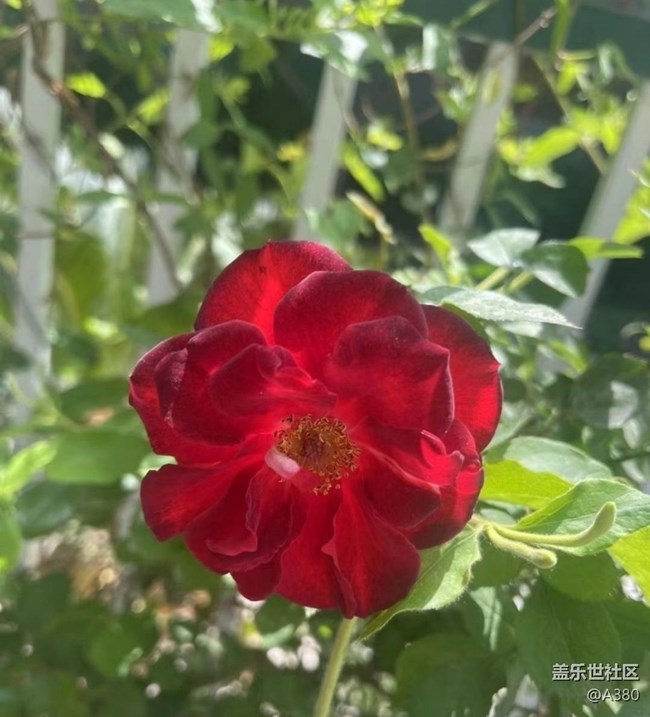 【夏日清涼】夏天了