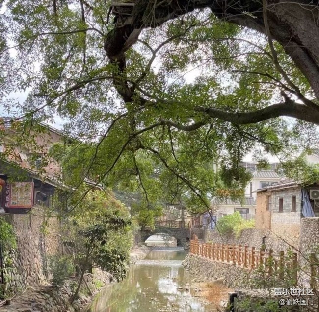 【小眾秘境】永定土樓