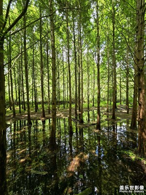 【遇見五月天】遇見天河潭