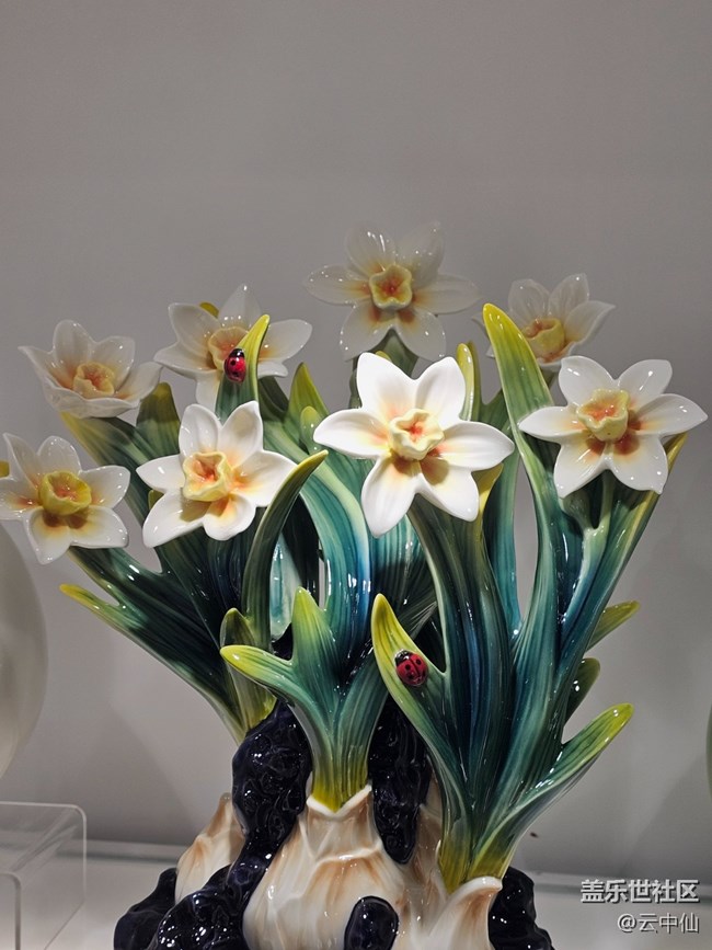 【 長焦與微距】瓷中花