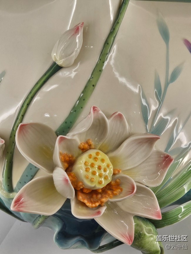 【 長焦與微距】瓷中花