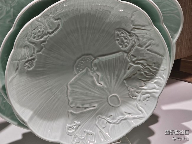 【 長焦與微距】瓷中花