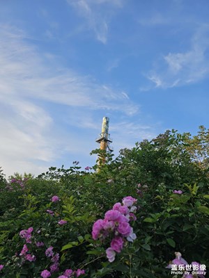 【遇見五月天】+碧樹藍天在五月